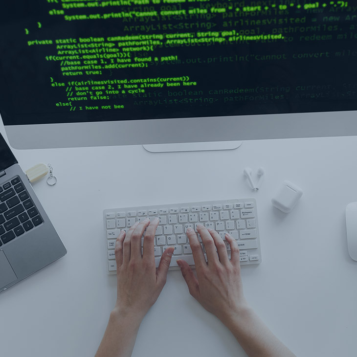 Custom Web Development